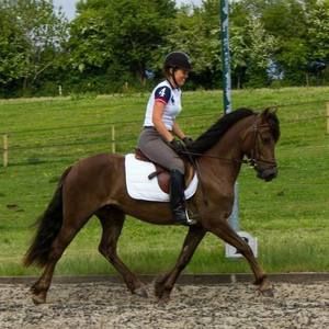 Meet your Posher, Sara